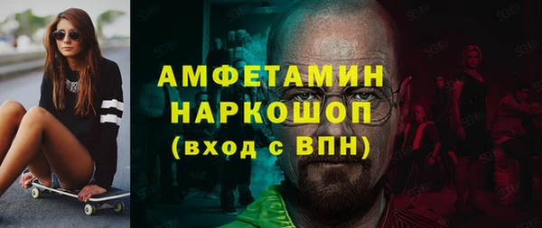 индика Алзамай