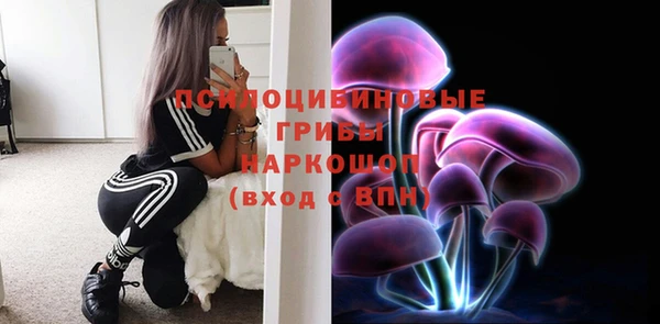 mix Абаза