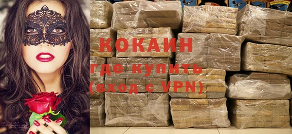 индика Алзамай