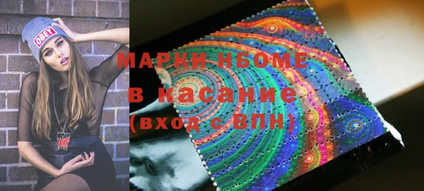 бошки Алексин