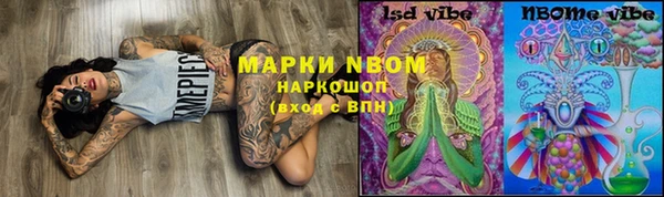 бошки Алексин