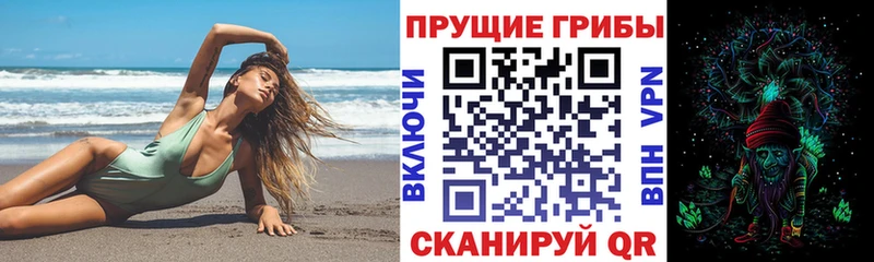 Псилоцибиновые грибы Cubensis  закладки  Подольск 