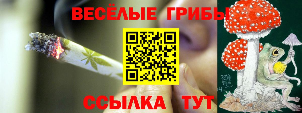 Галлюциногенные грибы Psilocybe Подольск