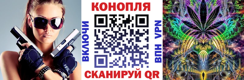 Конопля OG Kush  Подольск 